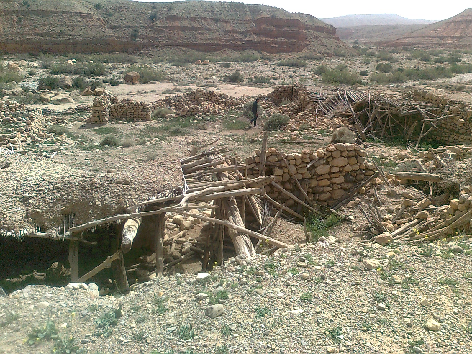 Oued Mestaoua  commune de Meziraa: el walja El Khadhra