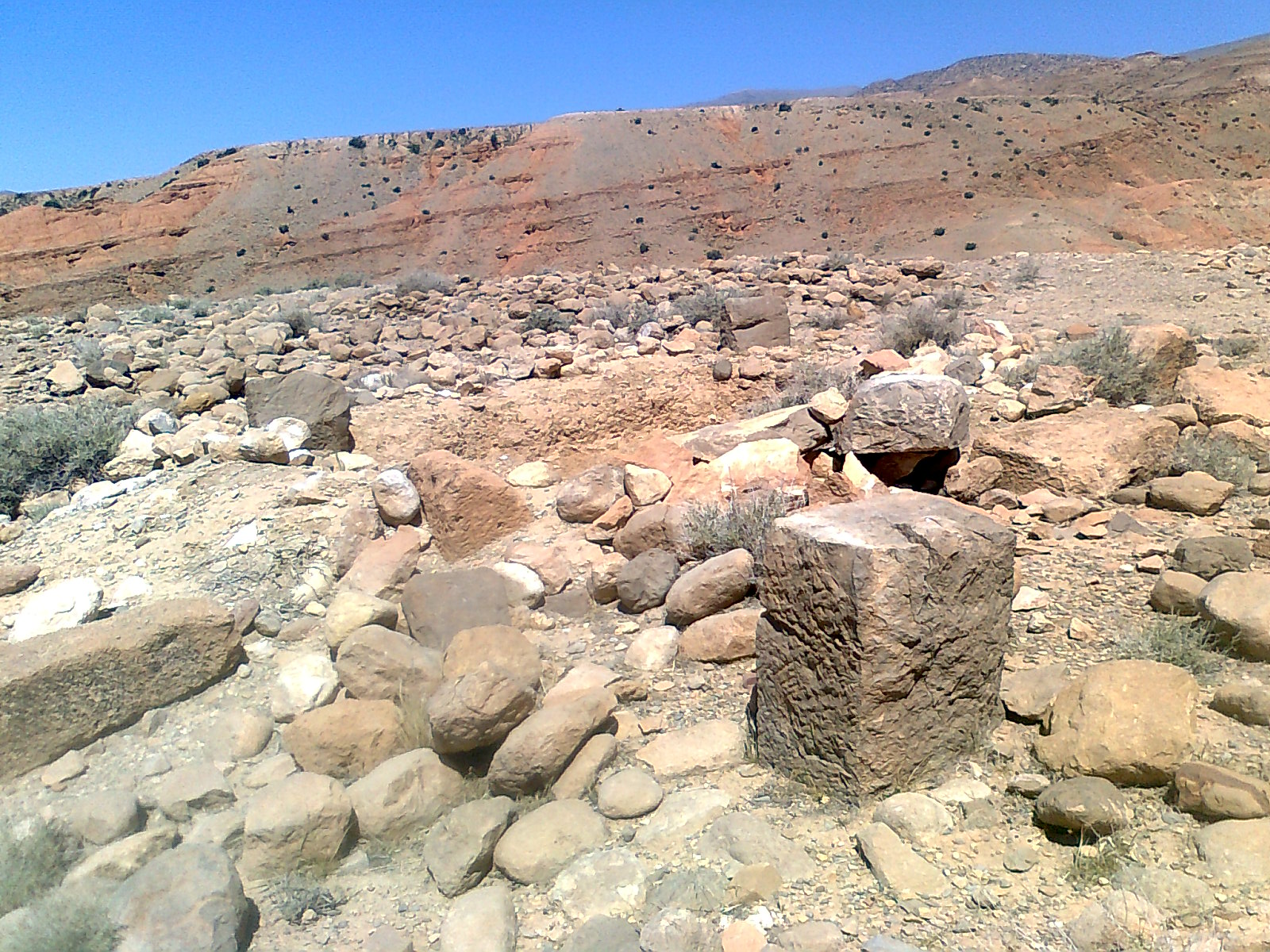 Oued Mestaoua  commune de Meziraa: el walja El Khadhra