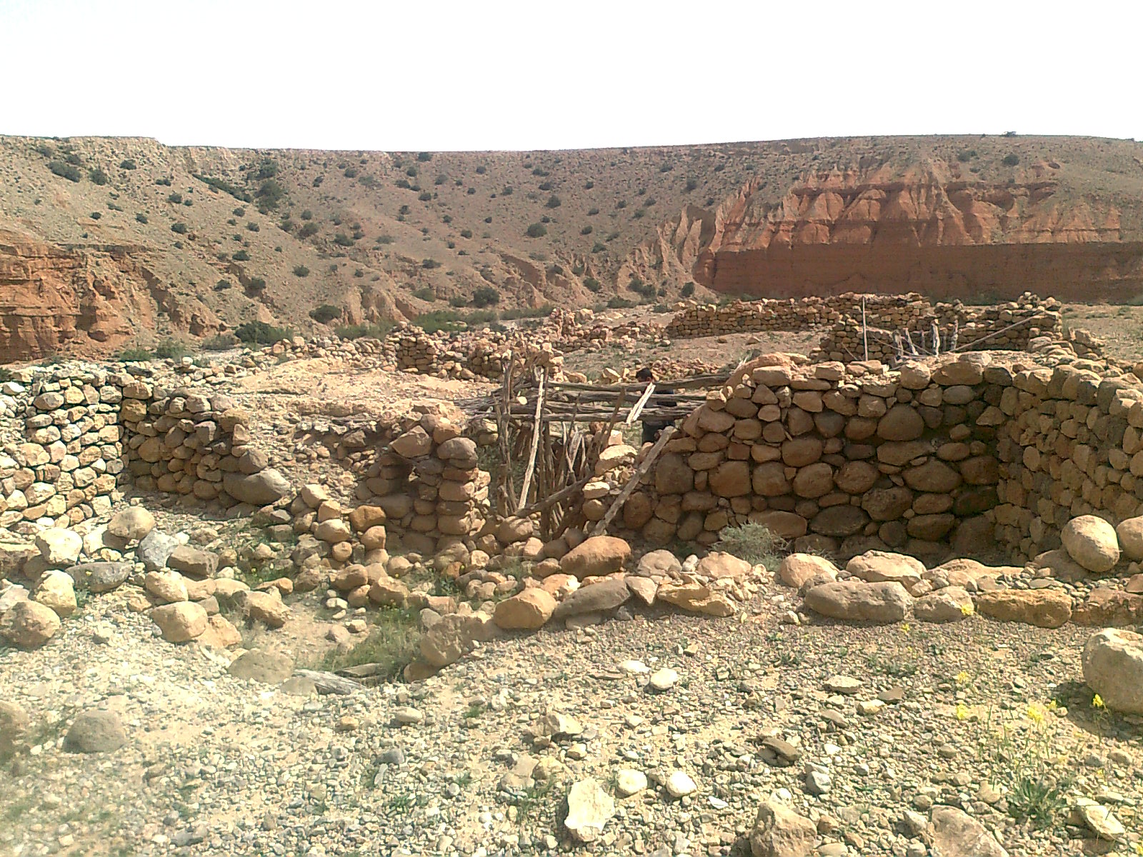 Oued Mestaoua commune de Meziraa: el walja El Khadhra