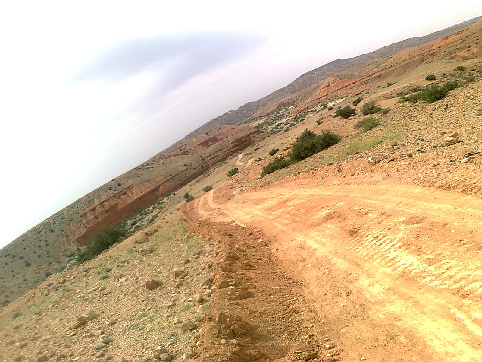 Oued Mestaoua commune de Meziraa: el walja El Khadhra !