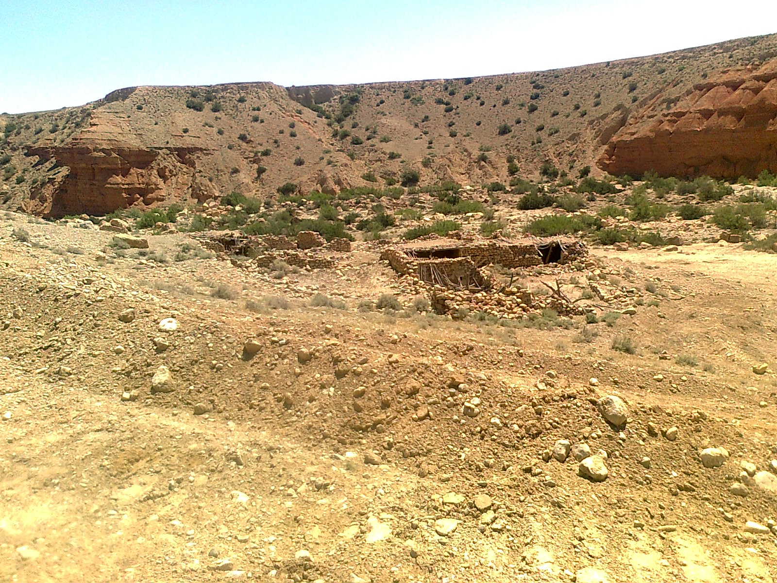 Oued Mestaoua commune de Meziraa: el walja El Khadhra !
