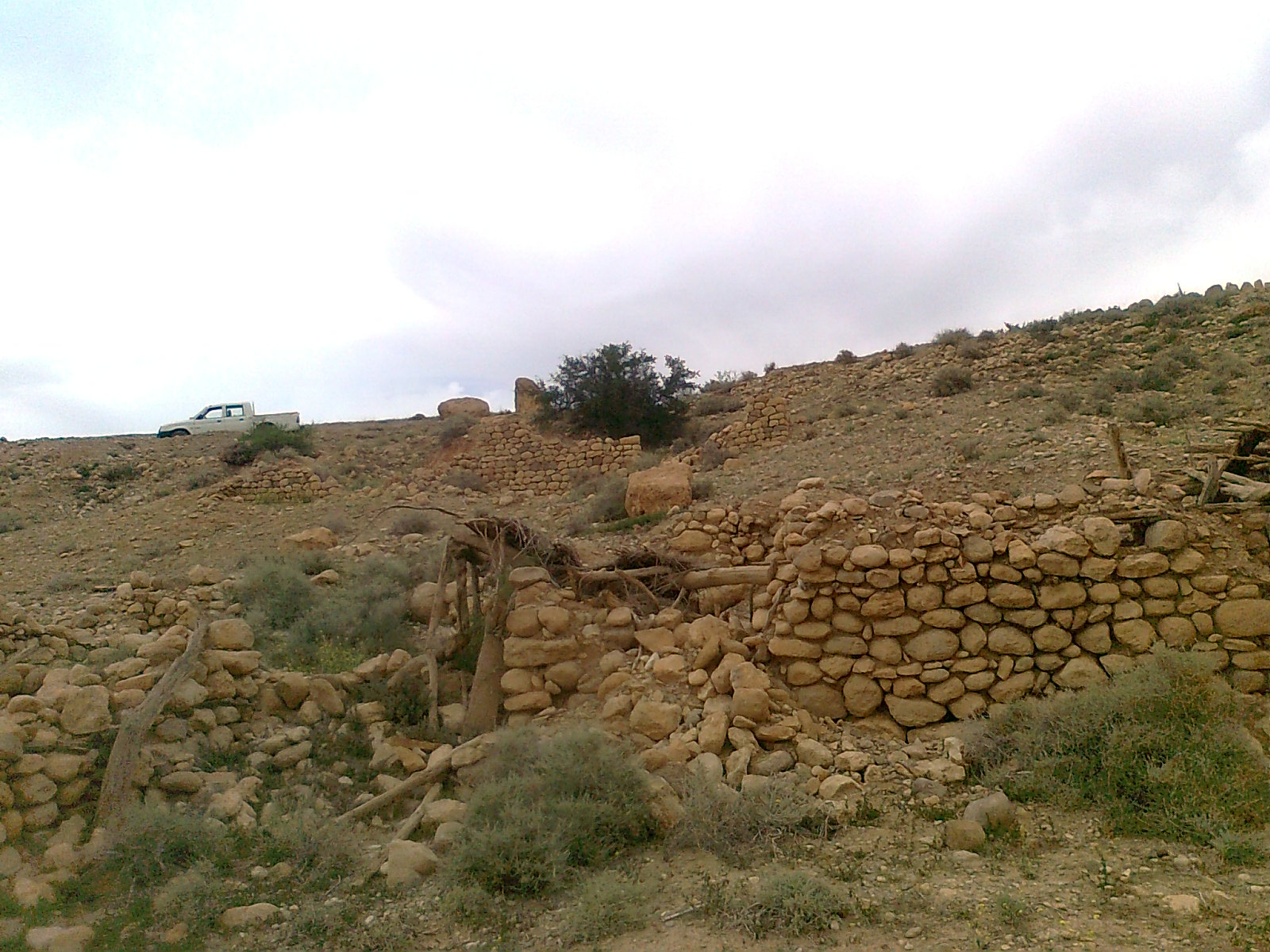 Oued Mestaoua commune de Meziraa: el walja El Khadhra