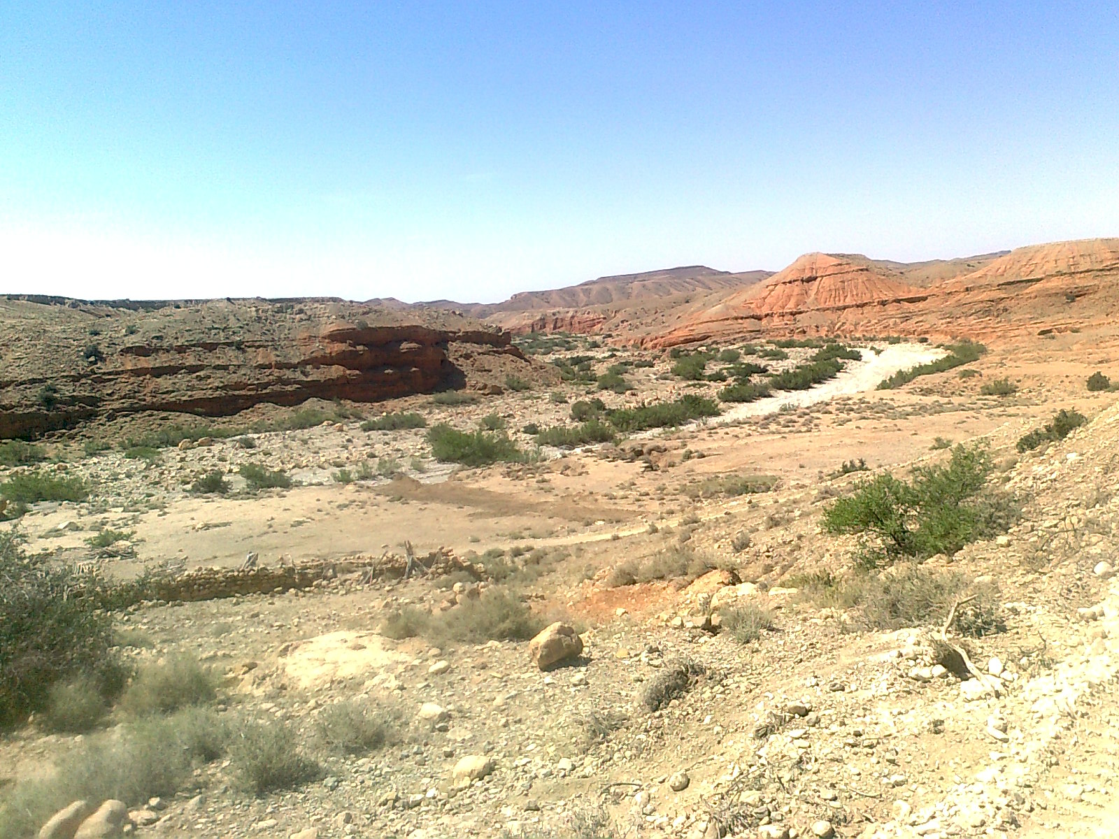 Oued-mestaoua-commune-de-meziraa-el-walja-el-khadhra/