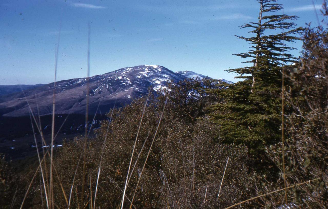 31- Le Mont de Chélia au sommet  Ras Keltoum 2328 m Yabous Khenchela