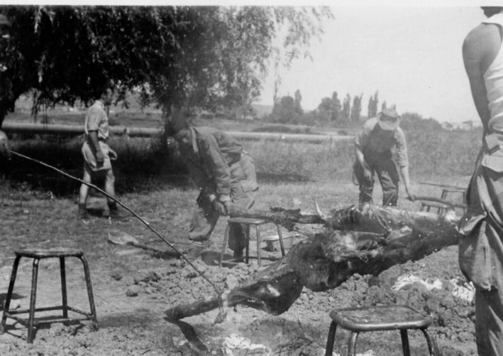 1958 BAIOU-MECHOUI KAIS KHENCHELA