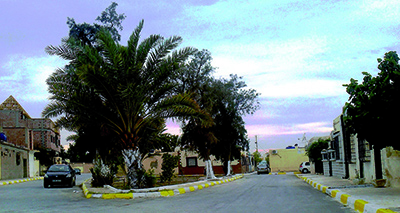 Cité des 150 logements à Biskra: Touche pas à mon environnement 