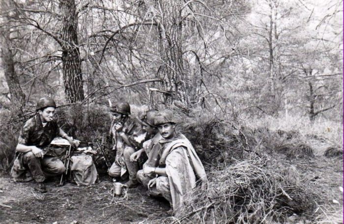 في غابة عين قيقل طامزة سهرة مع النجوم خنشلة