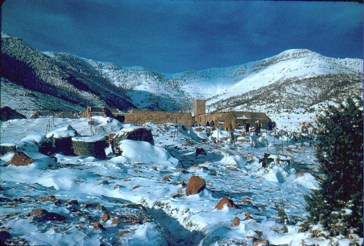 جرغوفيا بدون سقف على البرج بموسم الشتاء ببوحمامة الاوراس