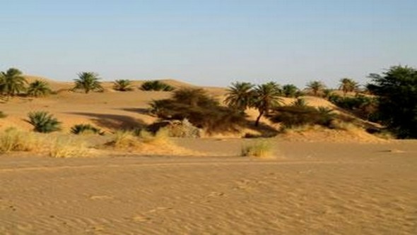 عدة اشغال للكفاح ضد التصحر بولاية ادرار