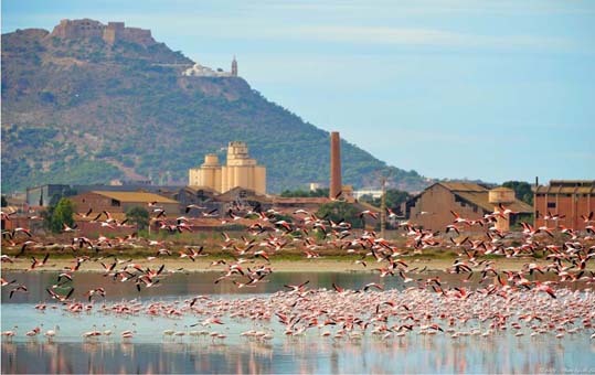 Oran - Environnement: Des mesures pour la protection des zones humides
