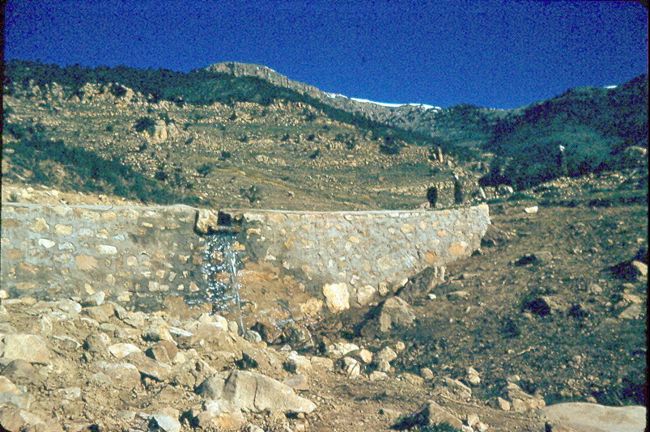 مناظر جميلة ببلدية بوحمامة تستحق زيارتها  ولاية حنشلة