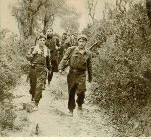 عيد اول نوفمبر