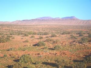 djbel tanout région ain ouarka