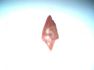 سهم من صنع الإنسان البدائي واحة تيوت