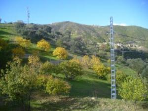 Paysage de fin d'automne à Lemroudj (10 novembre 2010)