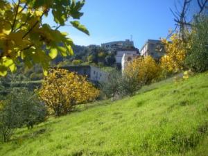 Paysage d'automne à Lemroudj (10 novembre 2010)