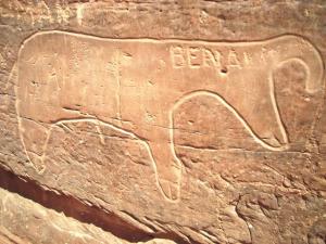 gravures rupestres de Tiout