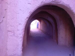 مدخل قوش حي الرماضين