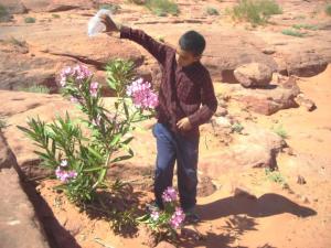 المحافظة عاى البيئة