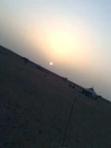 حمادة تيندوف