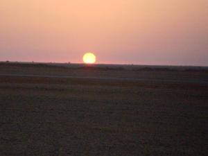 حمادة تيندوف