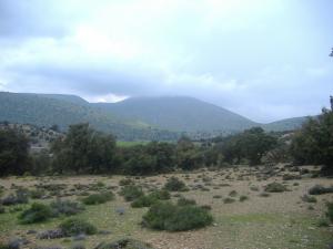 le mont de chélia  aurès