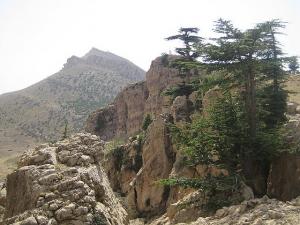 le mont de chélia  yabous