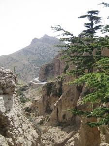 le mont de chélia  yabous