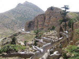 le mont de chélia  yabous -bouhmama