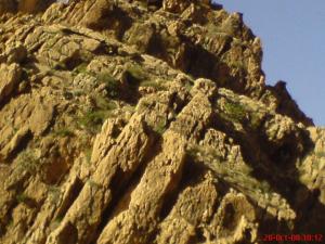 le mont de chélia  yabous -bouhmama