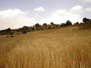 le mont de chélia--bouhmama