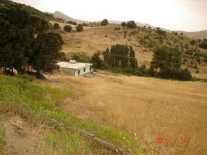 le mont de chélia  yabous -bouhmama