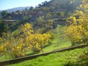 Paysage d'automne à Lemroudj, novembre 2010