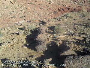 la forêt pétrifiée de tiout
