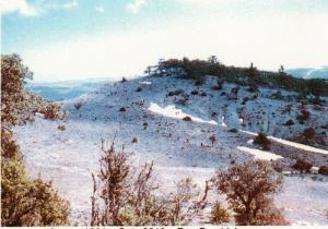 le mont de chélia  yabous -bouhmama en hiver