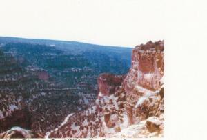le mont de chélia  yabous -bouhmama en hiver