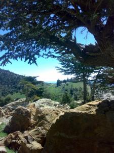 le mont de chélia  yabous -bouhmama