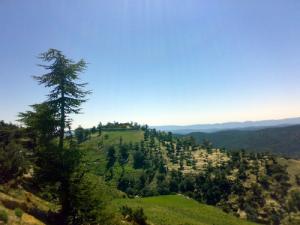 le mont de chélia  yabous -bouhmama