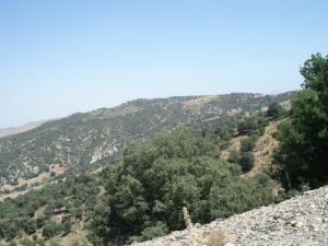 les montagnes les collines des yabous