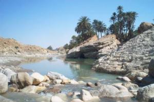 خنشلة ولاية فلاحية