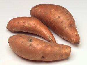 خنشلة كذلك من اشهر الولايات في انتاج البطاطا.