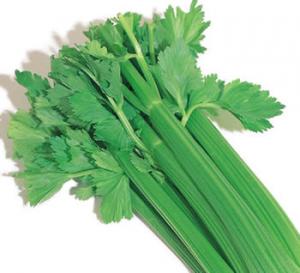 اما الدبشة والكرافس والمعدنوس فانها تزرع في كامل تراب ولاية خنشلة