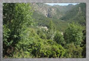 le mont de chélia  yabous -bouhmama