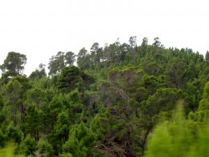 le lieu dit akaabar --yabous