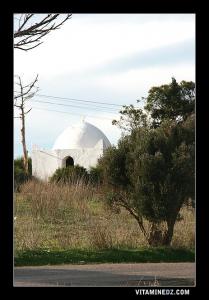 ضريح والي صالح في أعالي بوتليليس