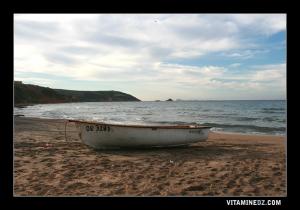 شاطئ الرأس الأبيض