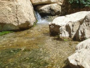 oued yabous bordé d'arbres et de montagnes