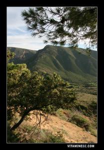 Djebel El Gaada, sur les hauteurs de Madagh