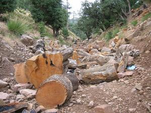 جمال الطبيعة ...المحافظة على هذا الكنز .......شلية