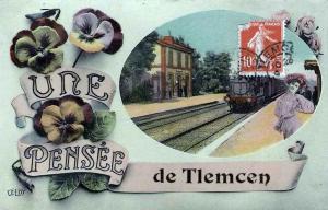 Carte postale, Pensée de Tlemcen